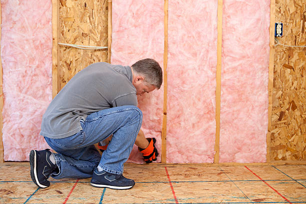 Best Geographic-Specific Insulation Services in West Hammond, NM
