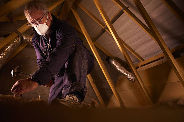 Professional Insulation Contractor in West Hammond, NM