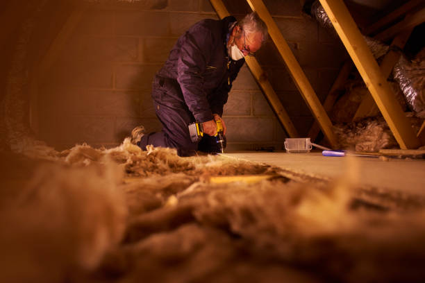 Best Specialized Insulation Services in West Hammond, NM